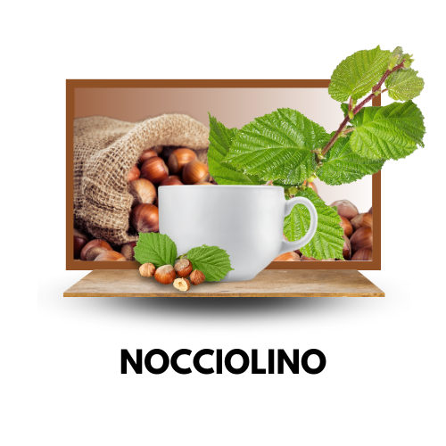 NOCCIOLINO Solubile - Bottega del Caffè - Capsule Compatibili NESPRESSO®️- 10 capsule