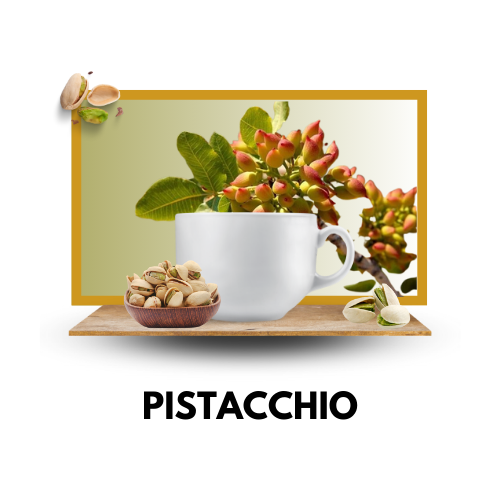 PISTACCHIO Solubile - DolceVita - Capsule Compatibili NESPRESSO®️- 10 capsule