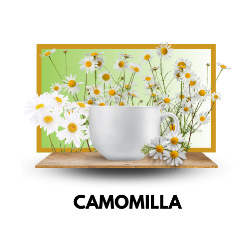 CAMOMILLA Solubile - Gattopardo - Capsule Compatibili DOLCEGUSTO®️- 16 capsule